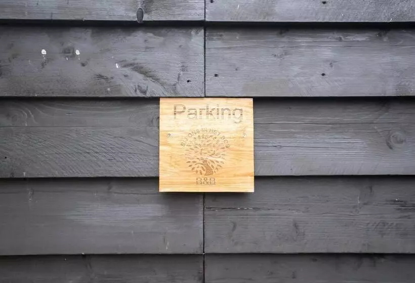 Bed And Breakfast Bij Ons In Het Bos