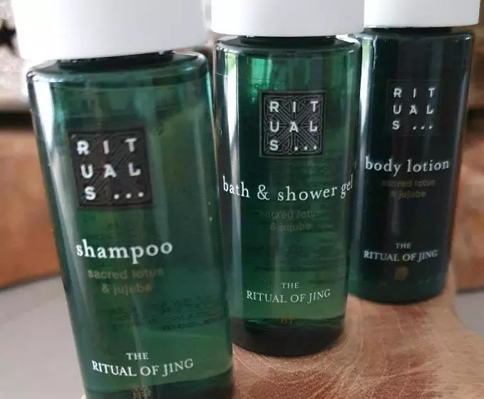 Bed And Breakfast Bij Ons In Het Bos