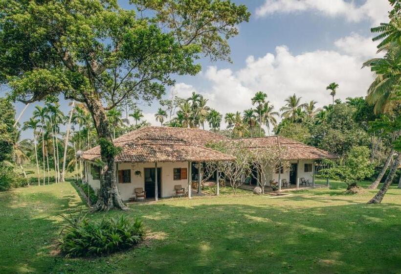 צימר The Rice Rooms