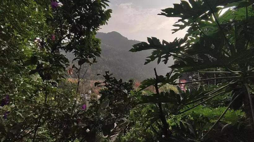 Hotelli Koonamparayil Home Stay Munnar Anaviratty Family Only