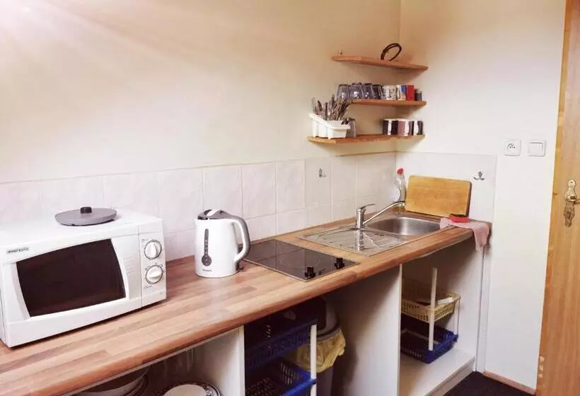 ペンション Penzion Zoom