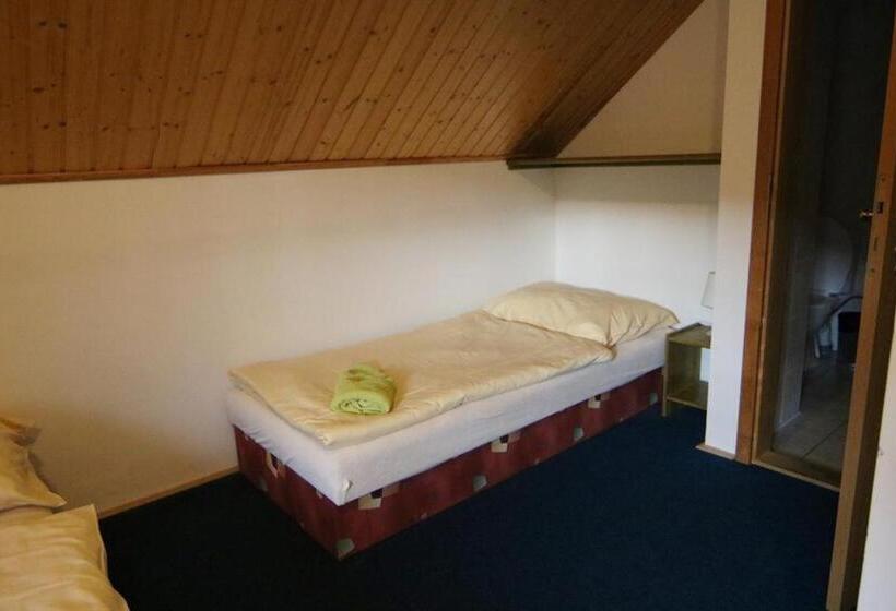 Pensió Penzion Zoom