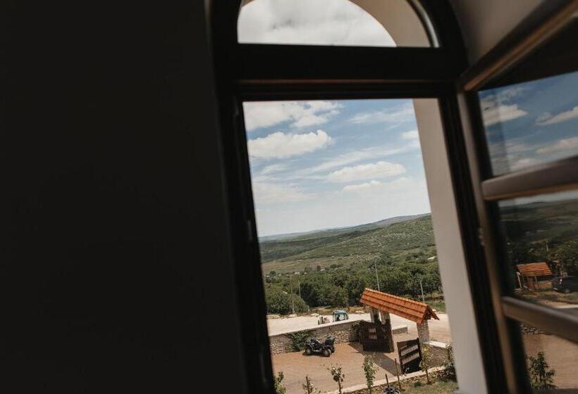 Hotel Crama Mircesti