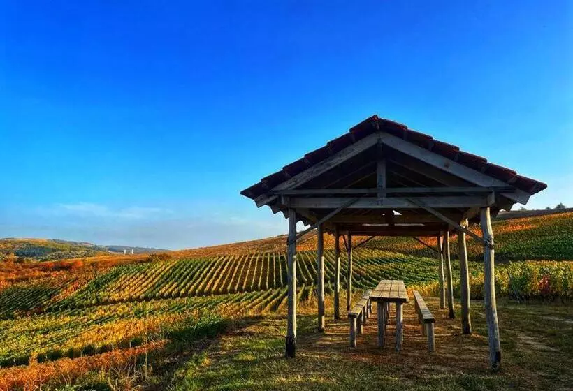 هتل Crama Mircesti