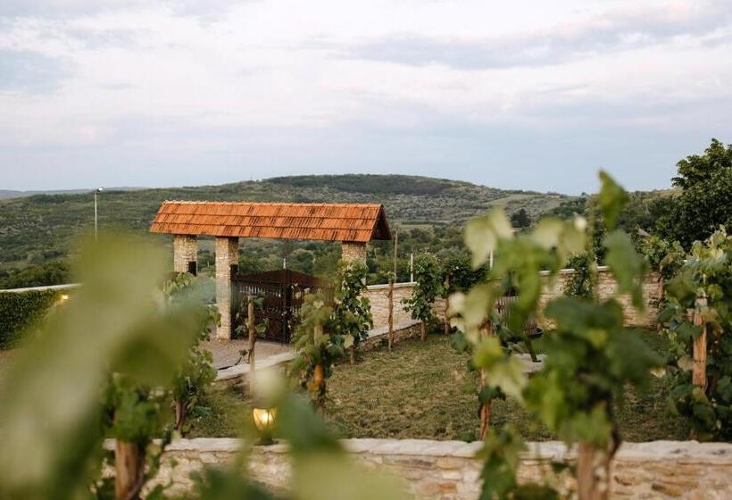 Hotel Crama Mircesti