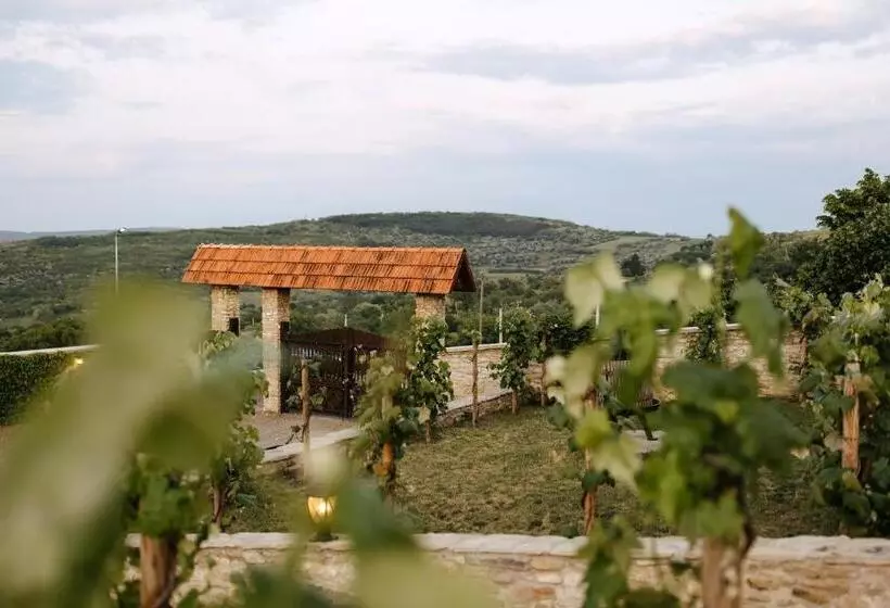 هتل Crama Mircesti