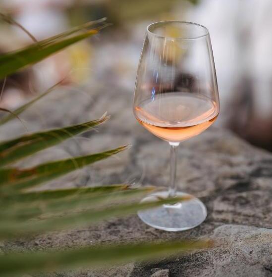 Hotel Crama Mircesti