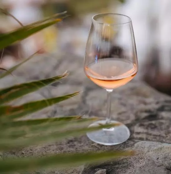 هتل Crama Mircesti