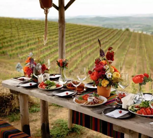 هتل Crama Mircesti