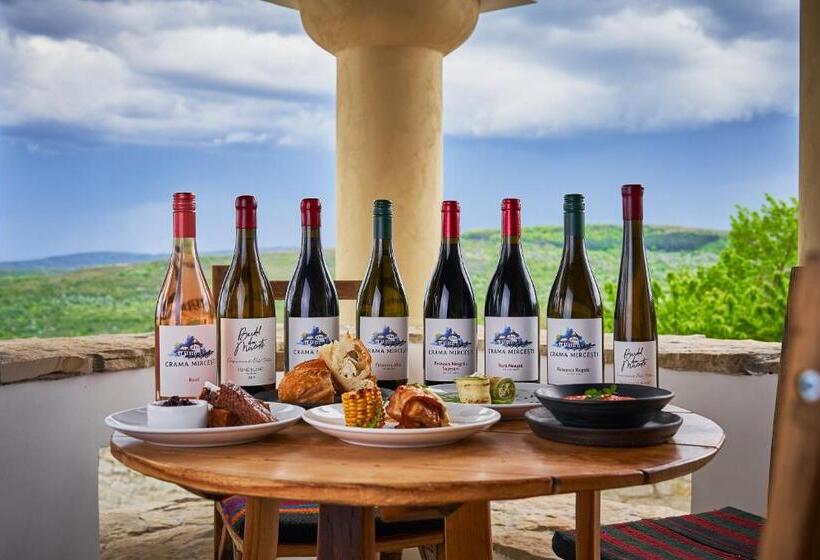 Hotel Crama Mircesti