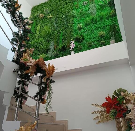 Hotel Dorado Villa Real Hdvr