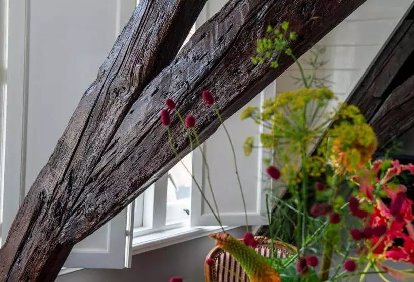 B&b De Zilveren Reiger