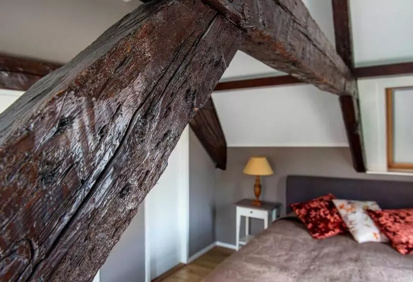 B&b De Zilveren Reiger