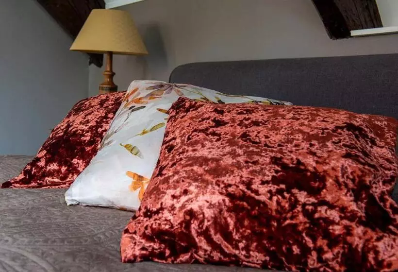 B&b De Zilveren Reiger