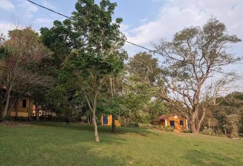 Hospedaria Do Feno