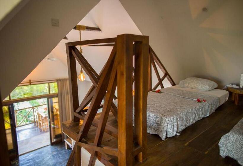 پانسیون Zanzi Dream Apartments