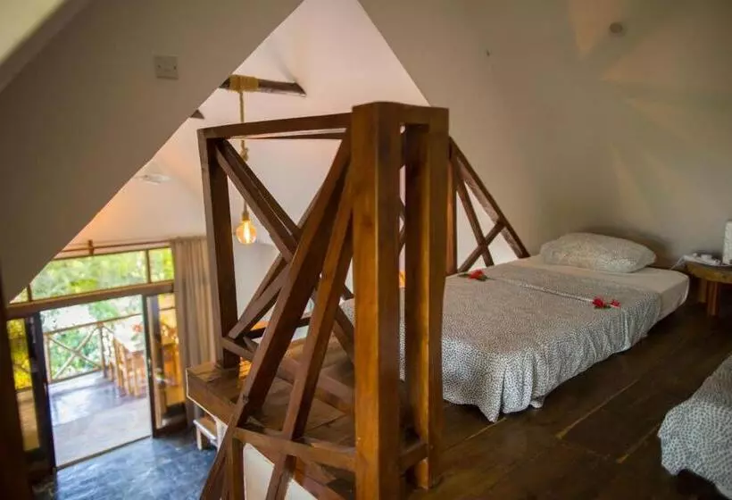 ペンション Zanzi Dream Apartments
