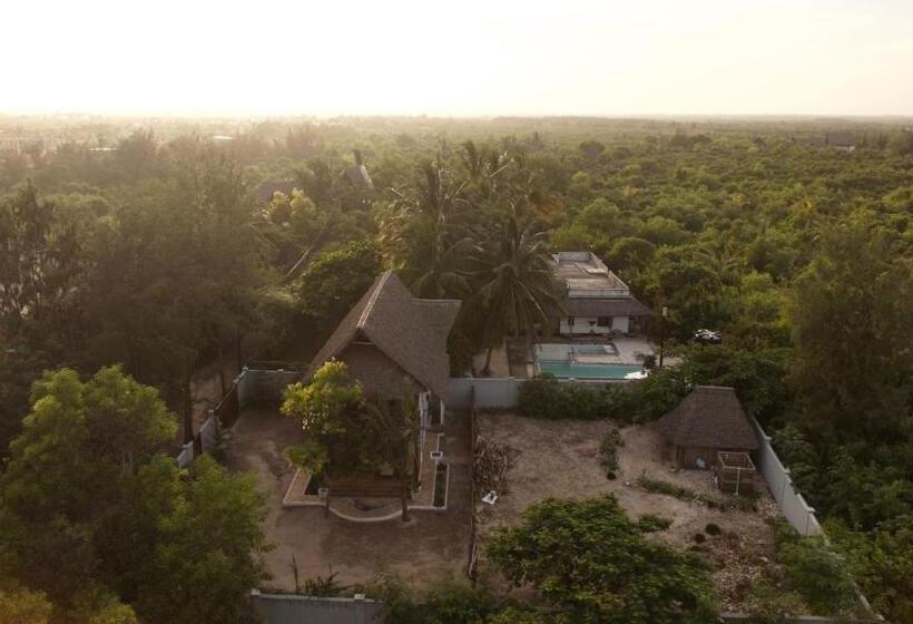 پانسیون Zanzi Dream Apartments