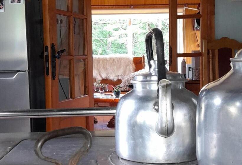 تختخواب و صبحانه Camping Los ñires