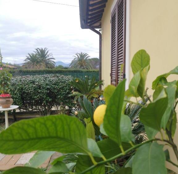 تختخواب و صبحانه Il Gelsomino