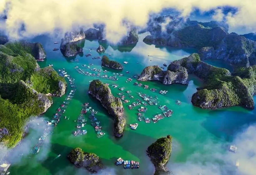 هتل Chân Trời Mới  New Horizon