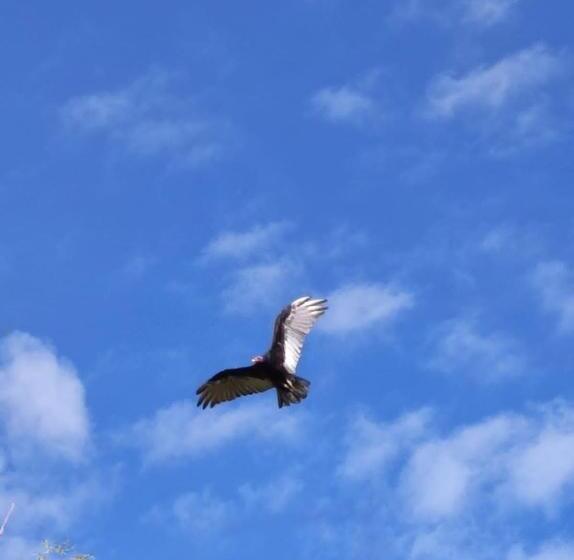 Capsulehotel Posada De La Fortuna