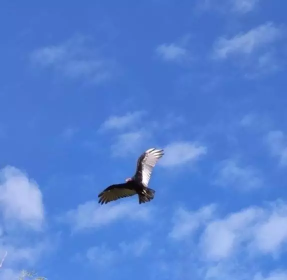 Kapselihotelli Posada De La Fortuna