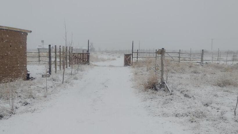 Capsulehotel Posada De La Fortuna