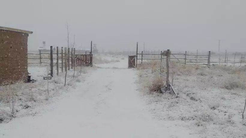 Kapselihotelli Posada De La Fortuna