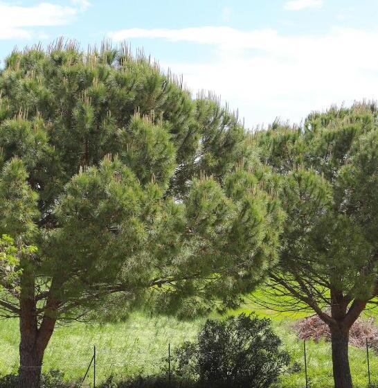 Отель Il Gelso Di Francesco N6