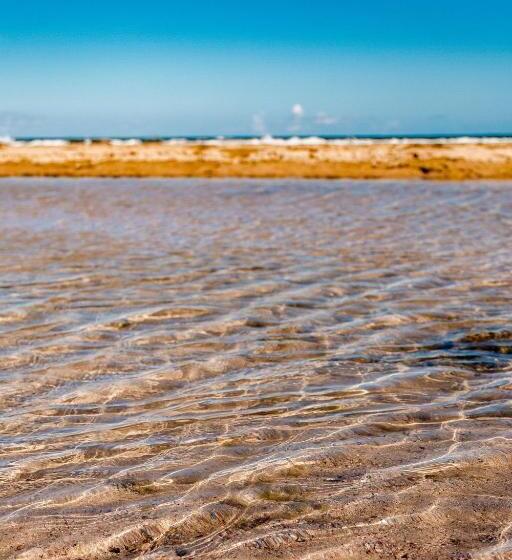 渡假胜地  Marulhos Beira Mar De Muro Alto Porto De Galinhas | Yolo