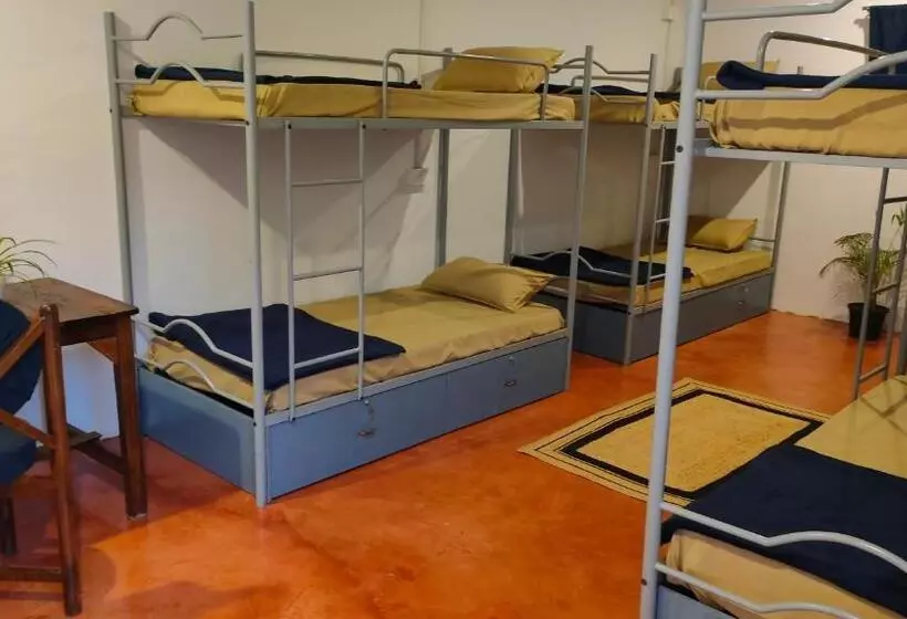 Svabodha Hostels