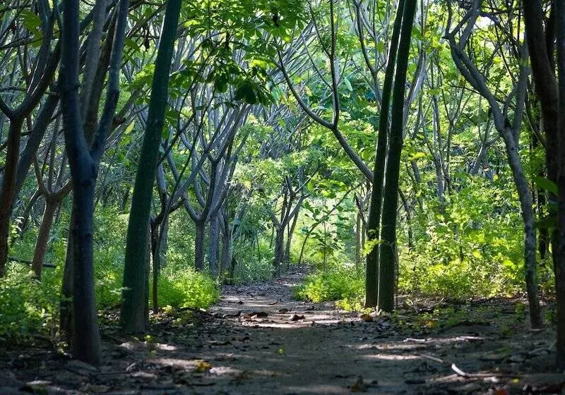Blue Serenity Hotel Nosara