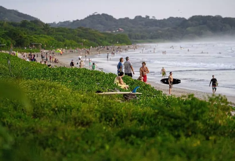 Blue Serenity Hotel Nosara