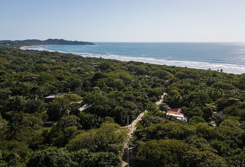 Blue Serenity Hotel Nosara