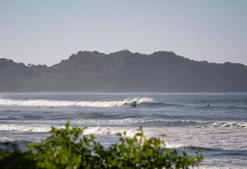 Blue Serenity Hotel Nosara