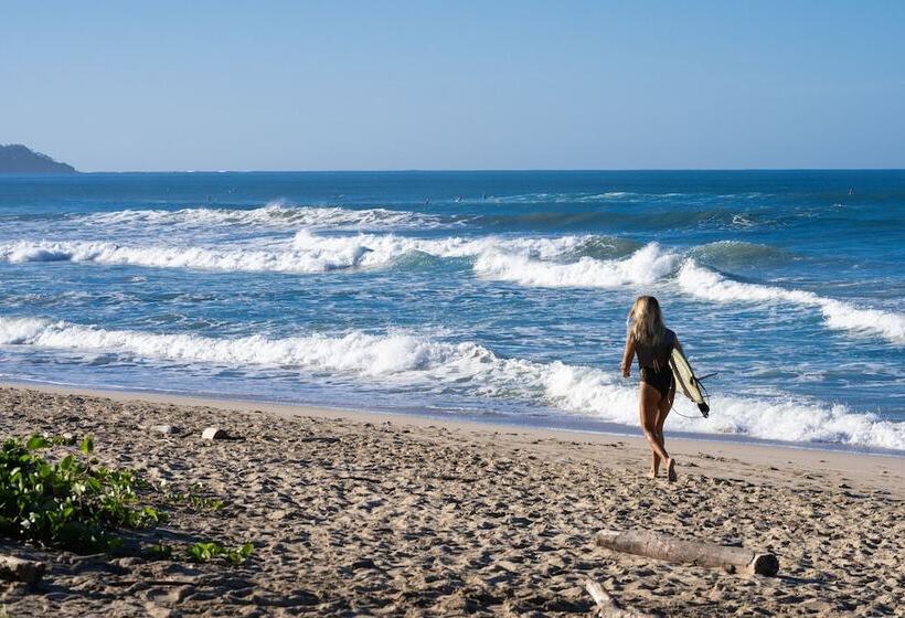 Blue Serenity Hotel Nosara