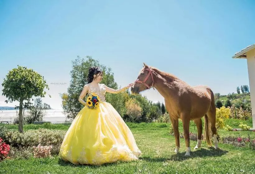 هاستل Hostería Quinta Inés María