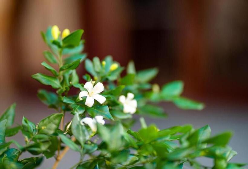 تختخواب و صبحانه Ong Tam Tra Que Villa