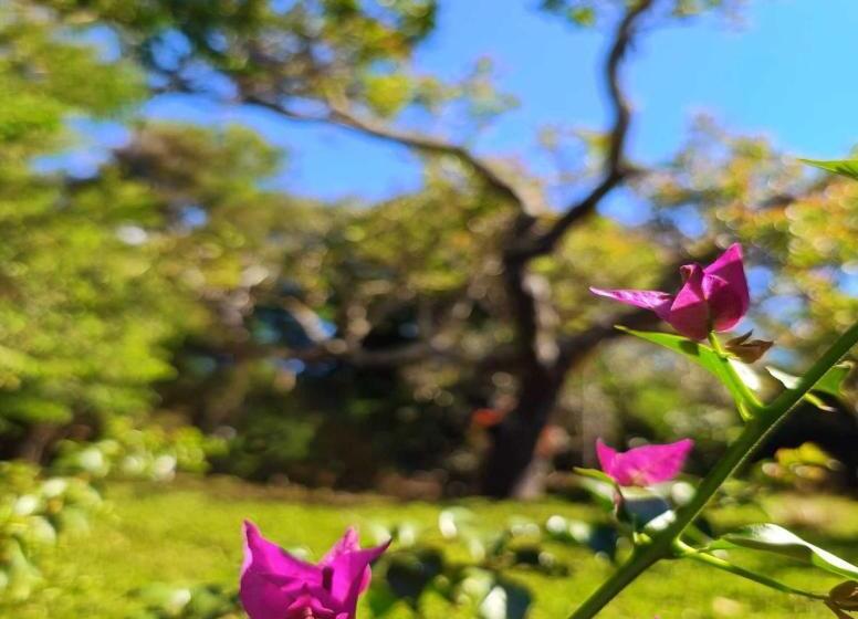 Canastra Hostel E Camping Quartos