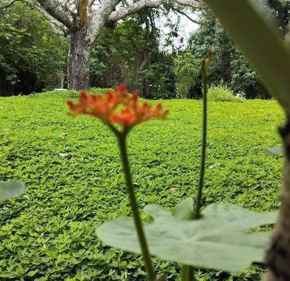 Canastra Hostel E Camping Quartos