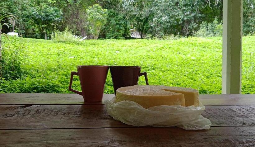 Canastra Hostel E Camping Quartos