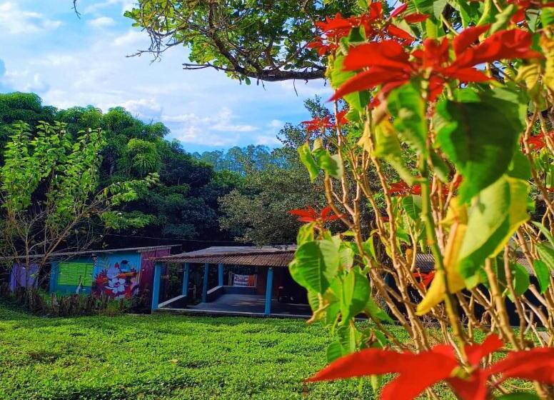 Canastra Hostel E Camping Quartos