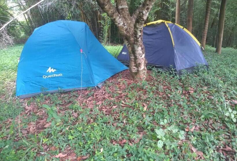 Canastra Hostel E Camping Quartos