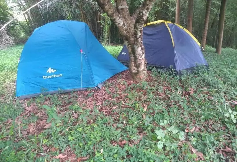 Canastra Hostel E Camping   Quartos