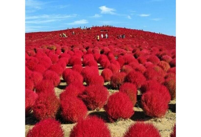 Hotel Crystal Palace   Vacation Stay 61200v