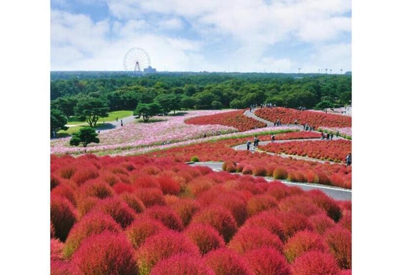 Hotel Crystal Palace   Vacation Stay 61200v