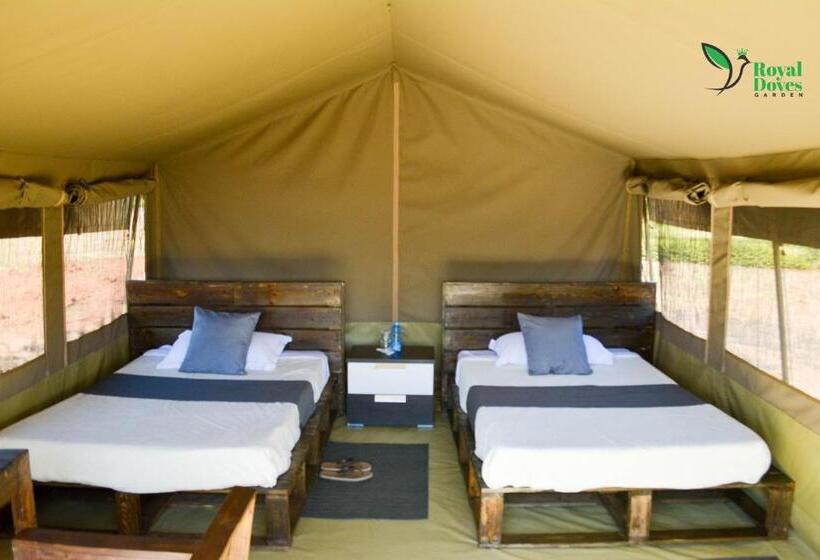 هتل Royal Doves Garden