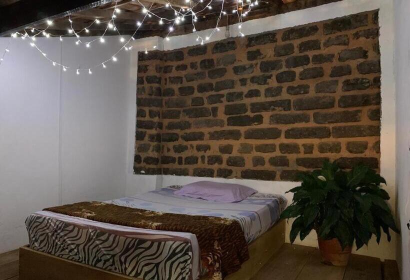 膳宿费 Hostel Solar