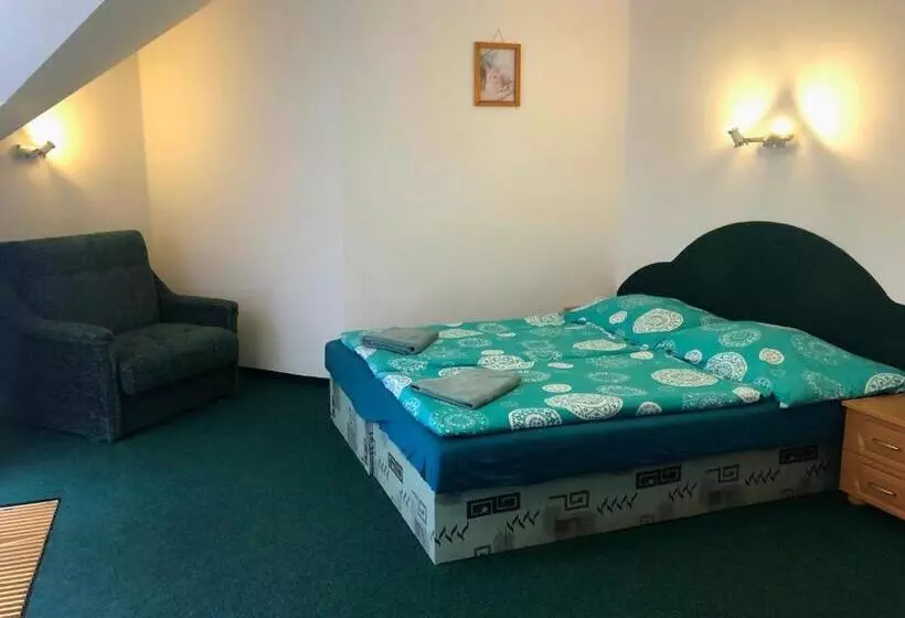 ペンション Penzion Natty   S Wellness Přímo U Sjezdovky